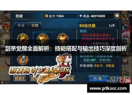 剑宗觉醒全面解析：技能搭配与输出技巧深度剖析