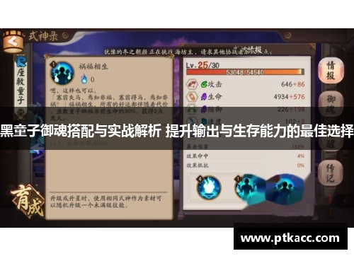 黑童子御魂搭配与实战解析 提升输出与生存能力的最佳选择