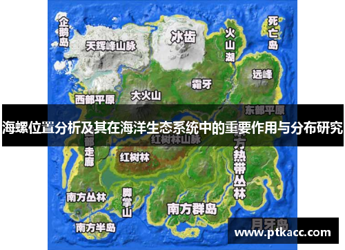 海螺位置分析及其在海洋生态系统中的重要作用与分布研究