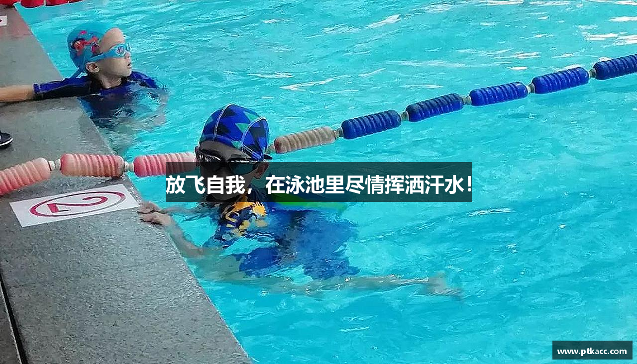 DB真人